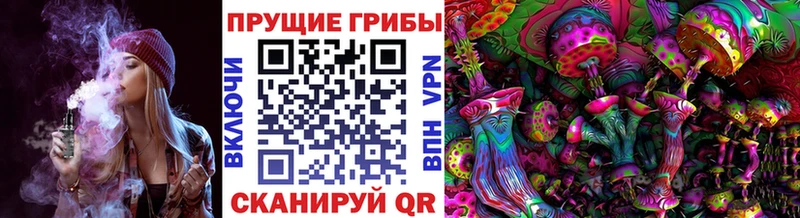 Галлюциногенные грибы Magic Shrooms купить закладку Донской